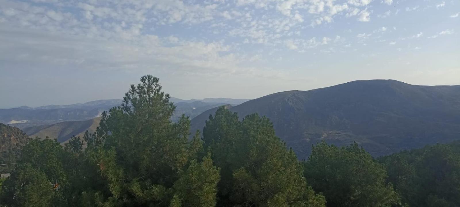 Hostal El Desvio Sierra Nevada Zewnętrze zdjęcie