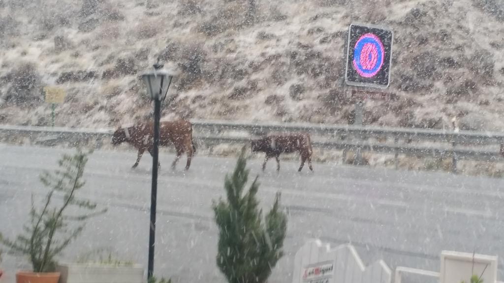 Hostal El Desvio Sierra Nevada Zewnętrze zdjęcie